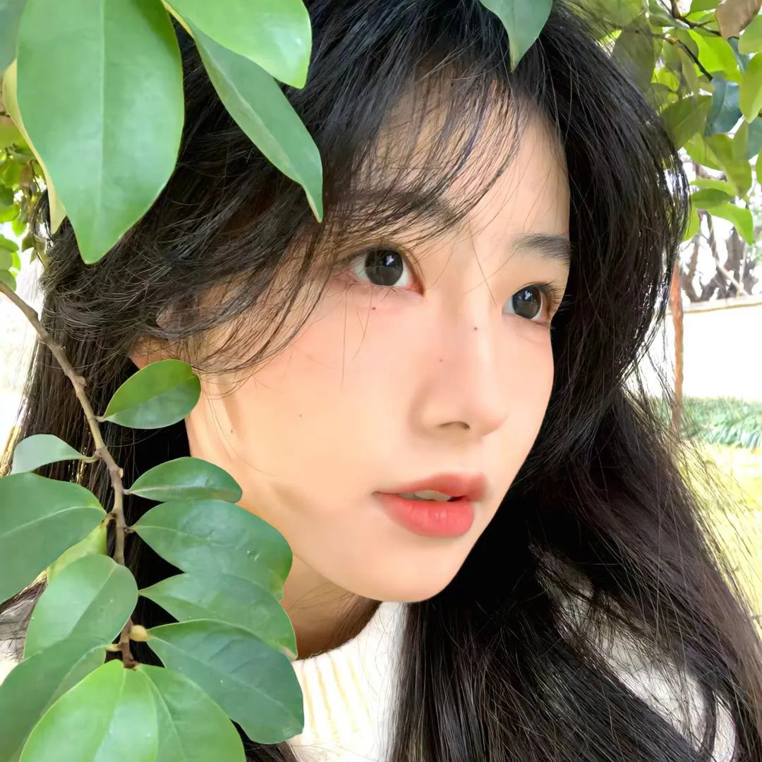 我房即世界 封面