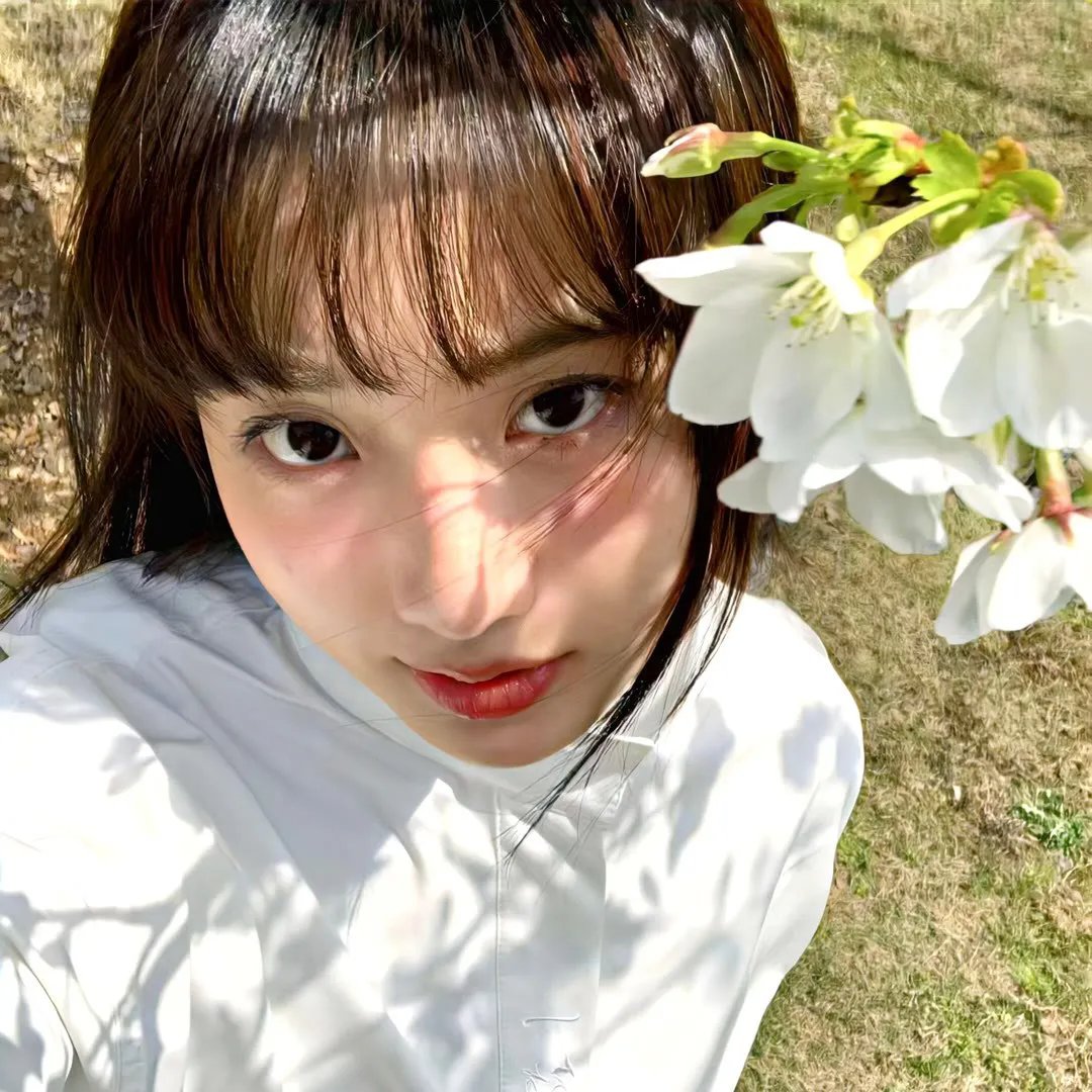 筑地市场：和食之心 封面